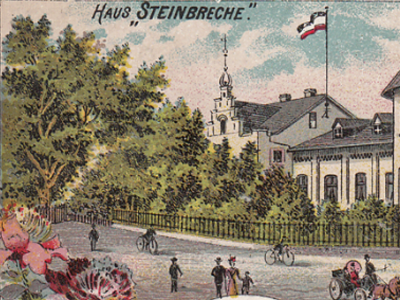 Steinbreche